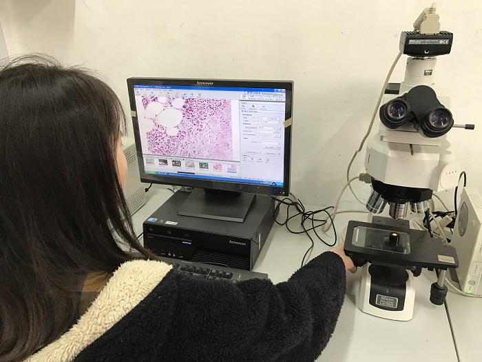 2016-12-19 123218.jpg 2016-12-19 123218.jpg