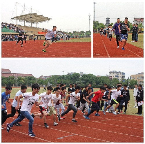 IMG_5001.jpg IMG_5001.jpg