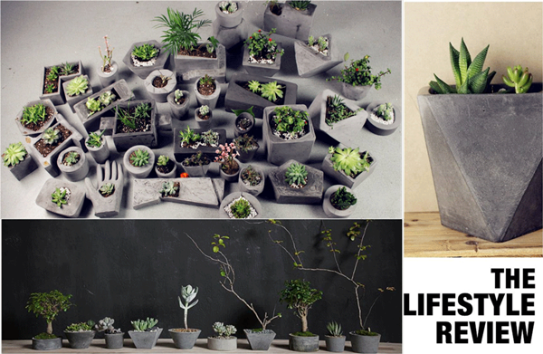 图片4_副本.png 图片4_副本.png